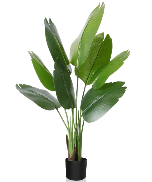 Planta Exterior