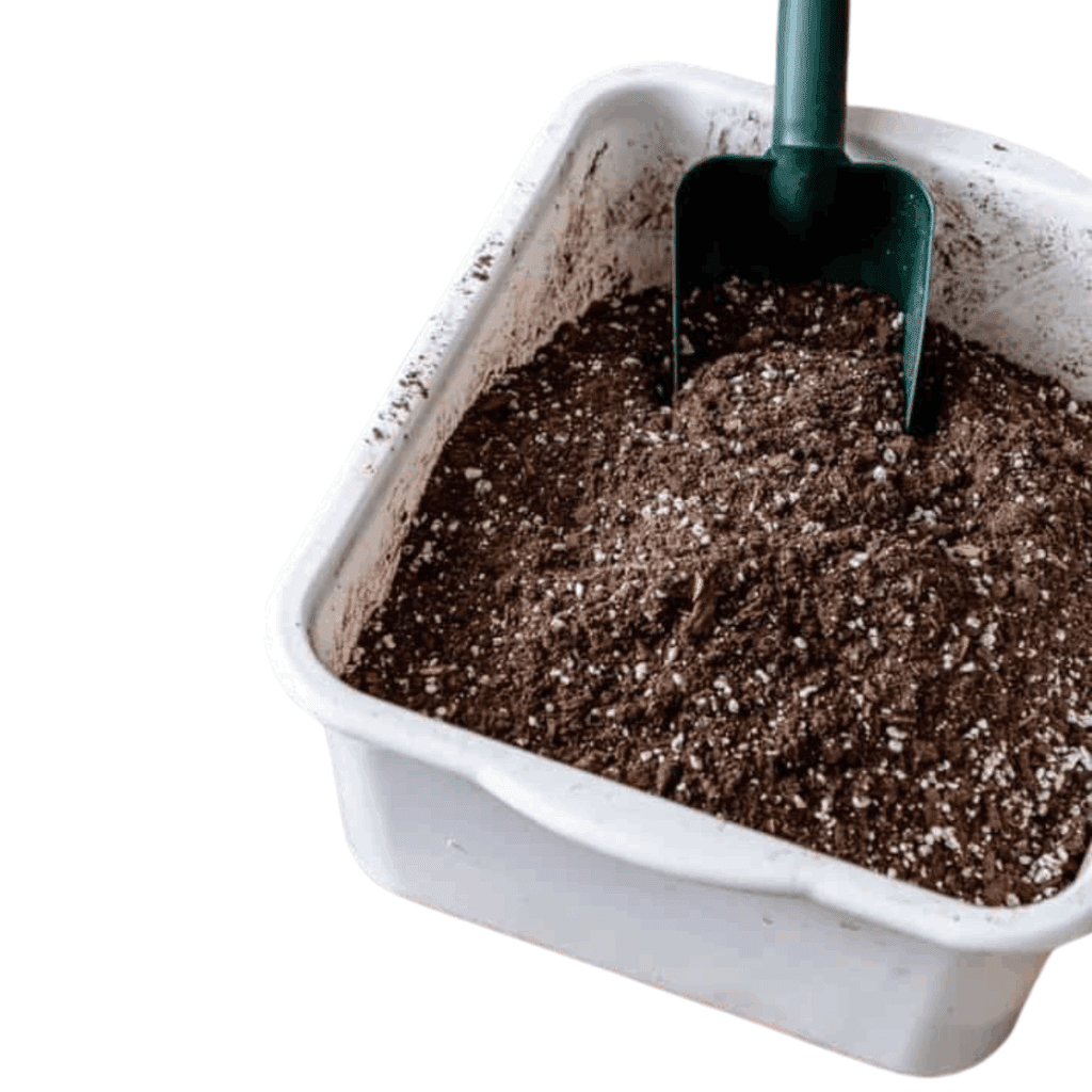 Sustrato Houseplant 1 lt